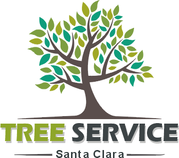 Tree Service Santa Clara
